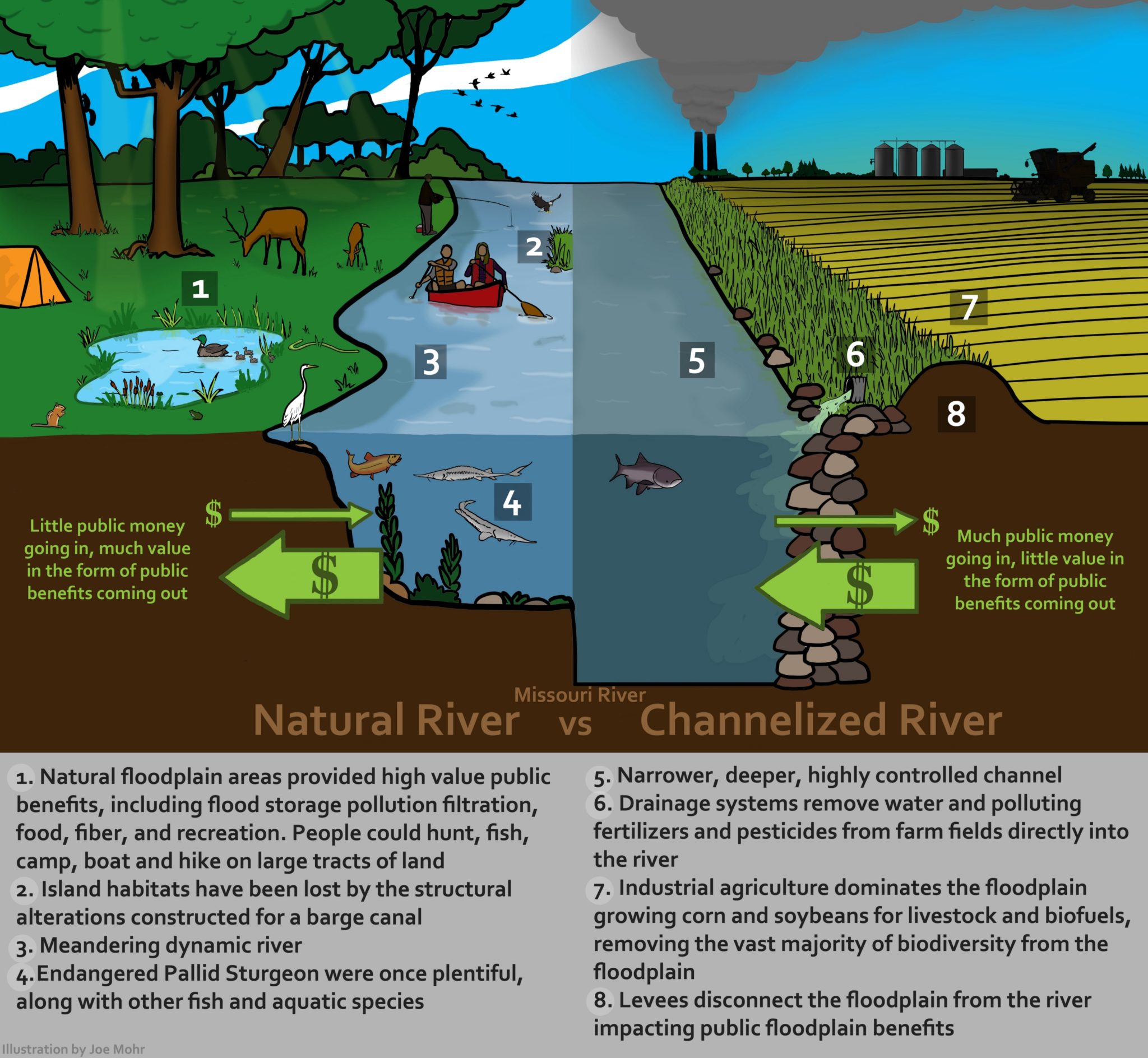 natural-vs-channelized-river-missouri-coalition-for-the-environment