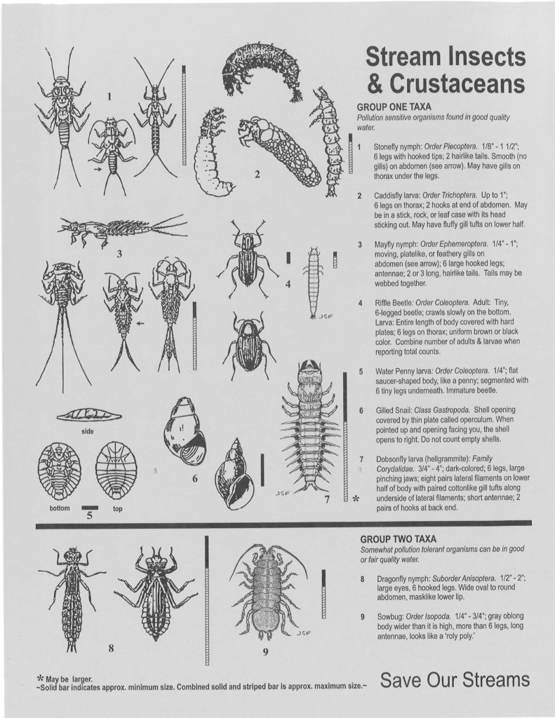 Crayfish, Caddisflies, Scud, Oh My! Missouri Coalition for the