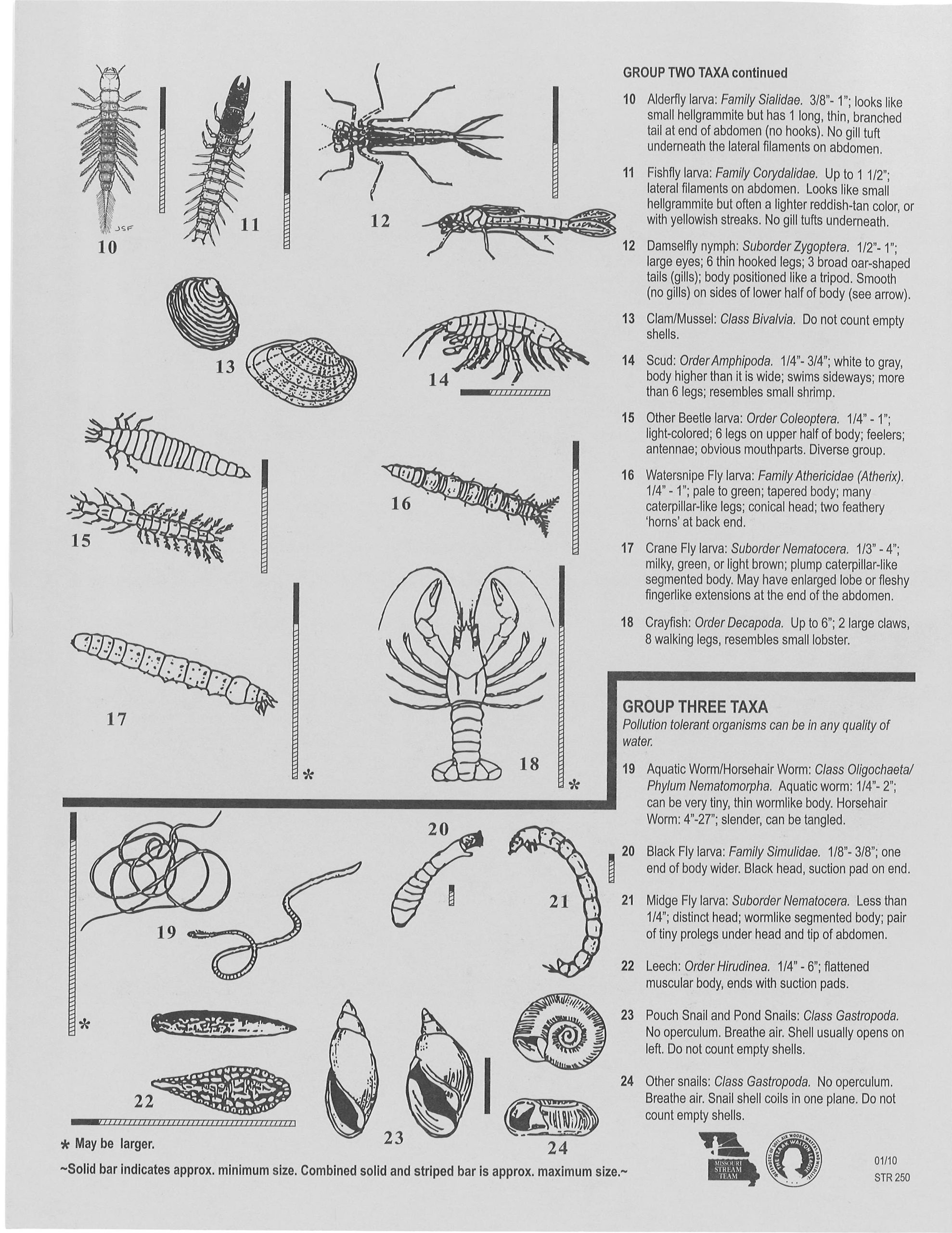 Crayfish, Caddisflies, Scud, Oh My! Missouri Coalition for the