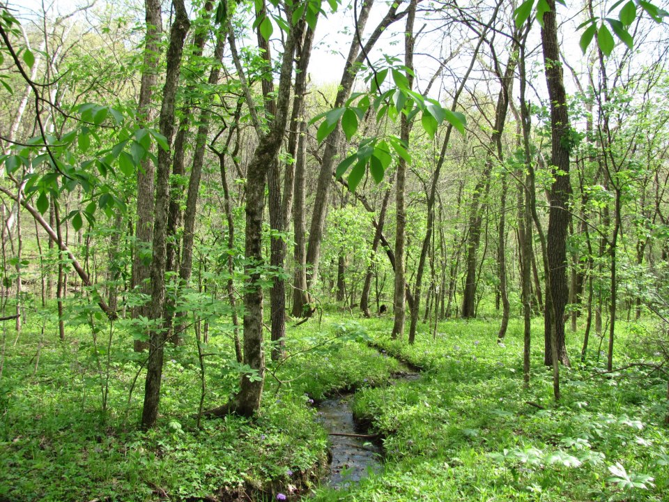 The Parks, Soils, and Water Sales Tax Protecting More than Public