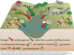 nutrient-pollution-sources-diagram