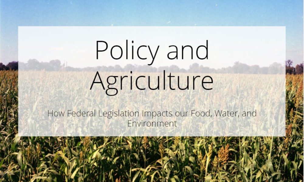 Policy and Agriculture Story Map