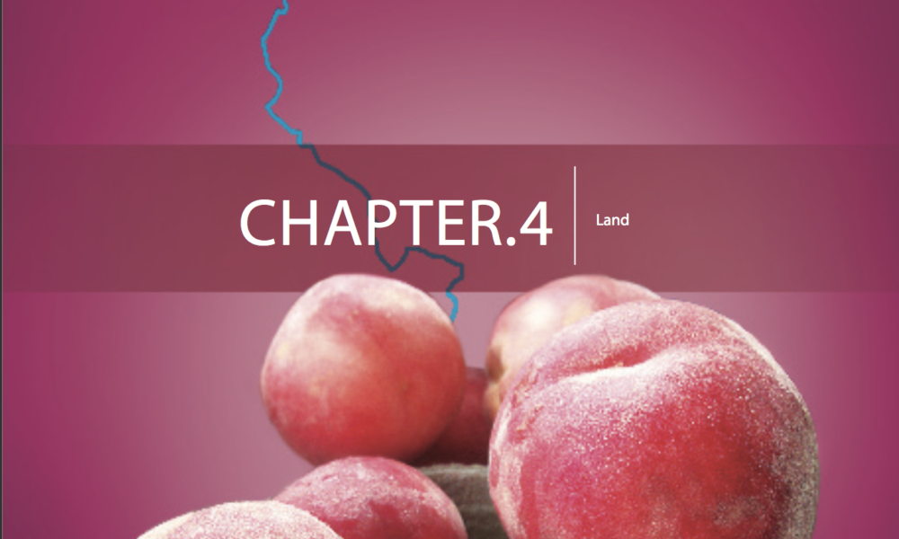 Food Study Chapter 4