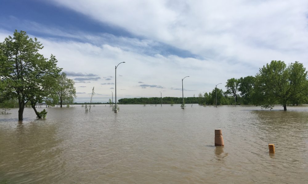 Sign a Petition to Gov. Parson to Use Nature-Based Solutions to Stop Flooding