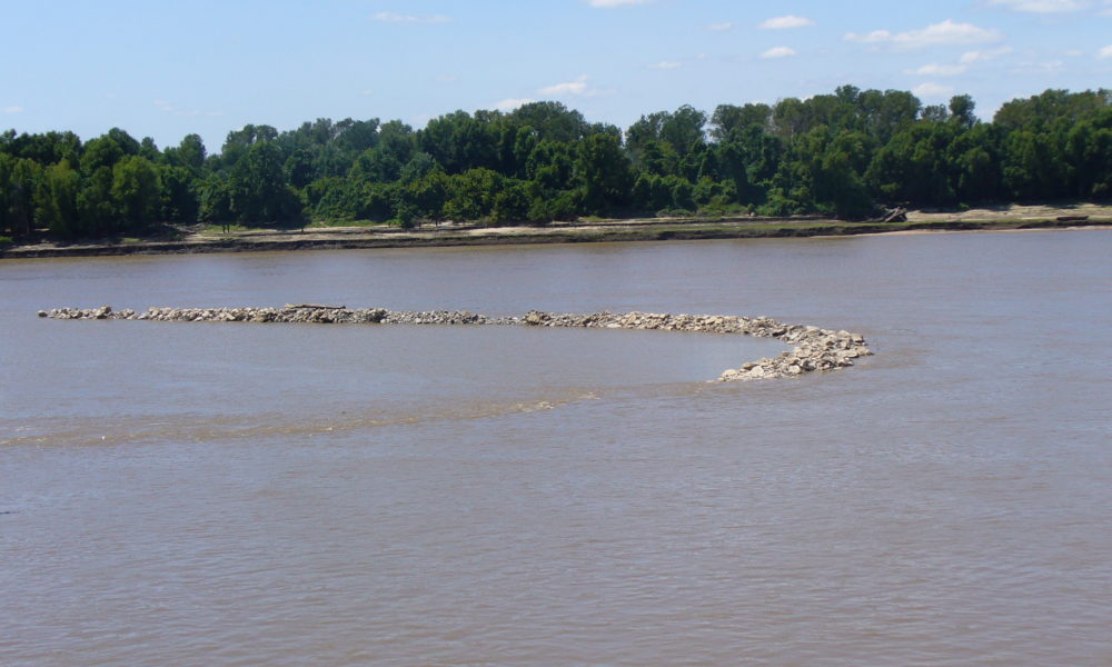 Conservation Groups Challenge Army Corps’ Mississippi River Plan