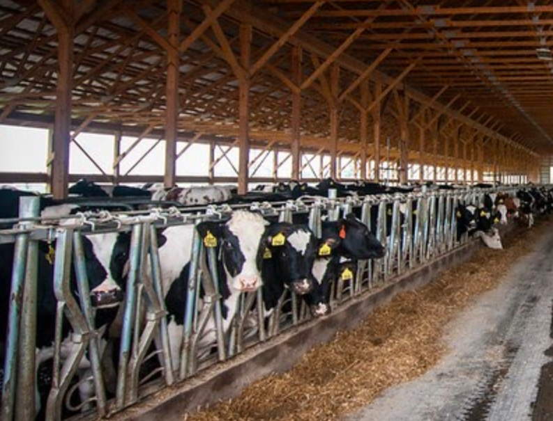 Ladder of Advocacy — Concentrated Animal Feeding Operations - Missouri  Coalition for the Environment