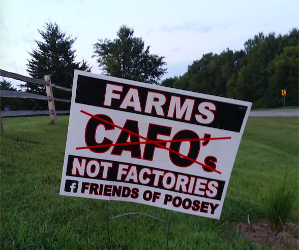 Take Action Against CAFOs